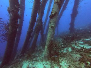 Salt Pier, Bonaire
